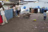 Puerto Ayora fish market